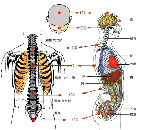 Chakras